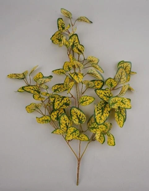 Natural Leaves Creeper Small